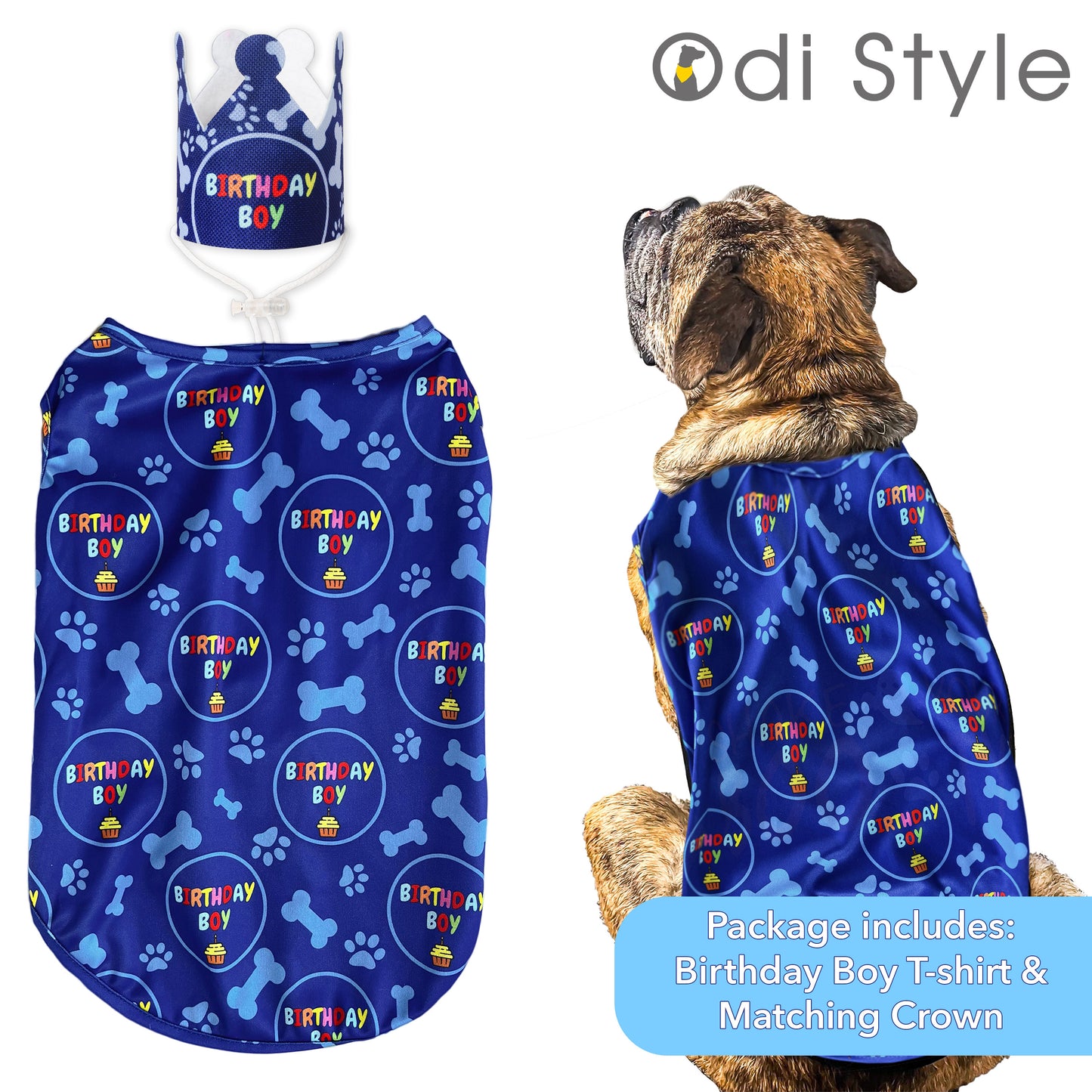 Odi Style Dog Birthday Shirt Boy