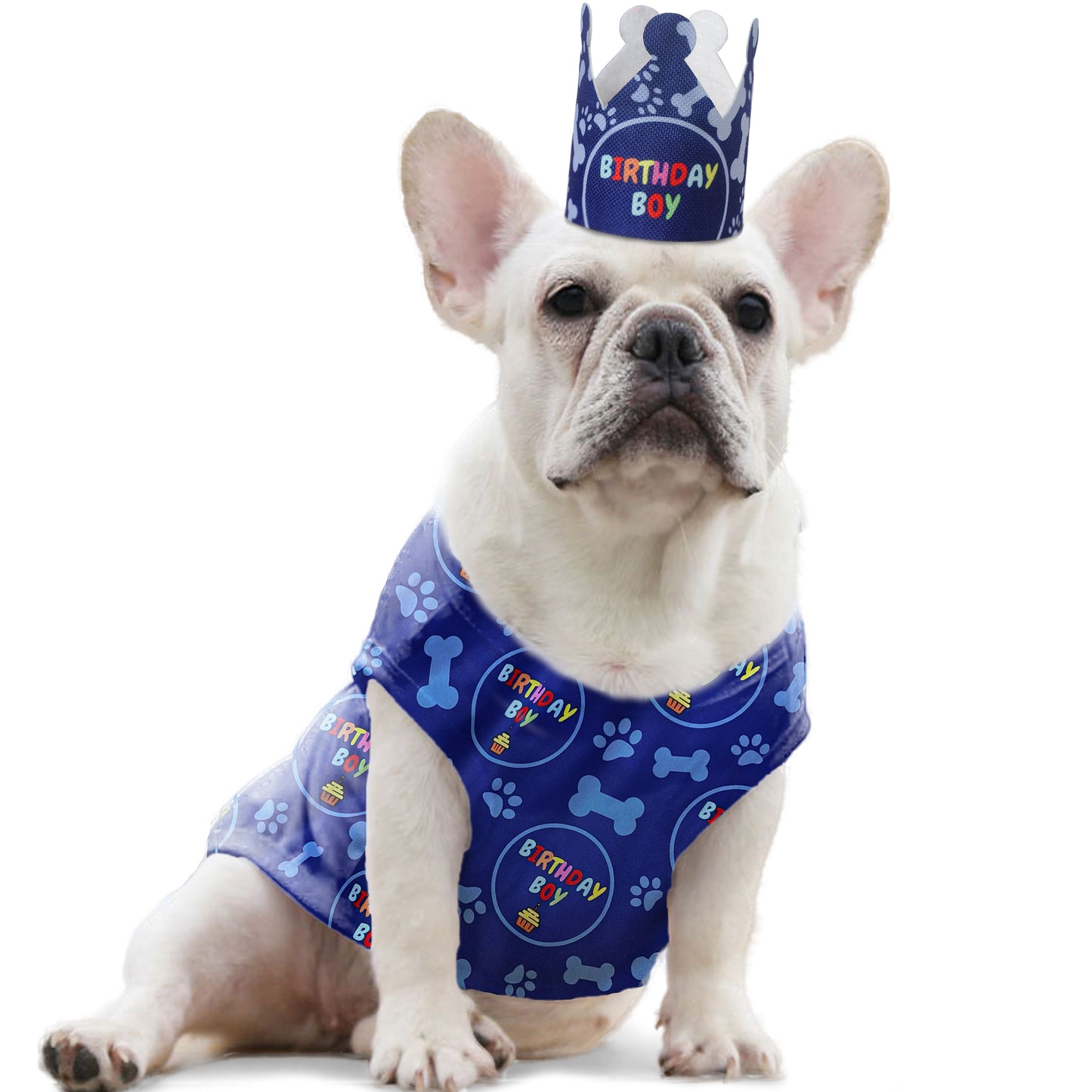 Odi Style Dog Birthday Shirt Boy