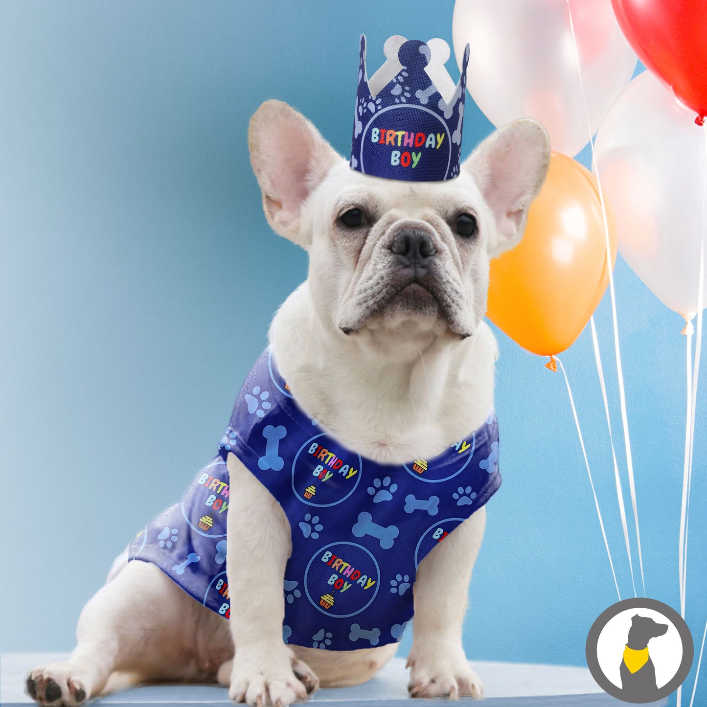 Odi Style Dog Birthday Shirt Boy