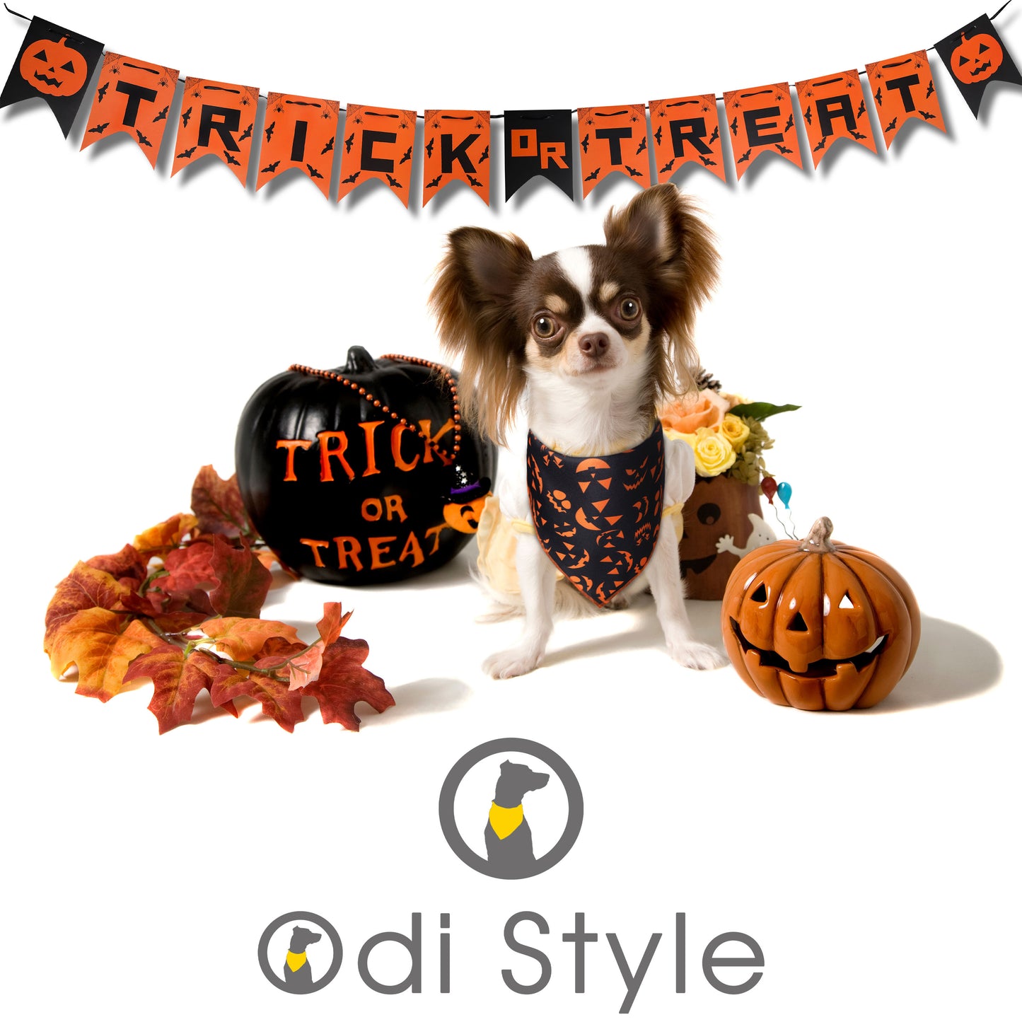 Halloween Dog Bandanas with Trick or Treat Sign