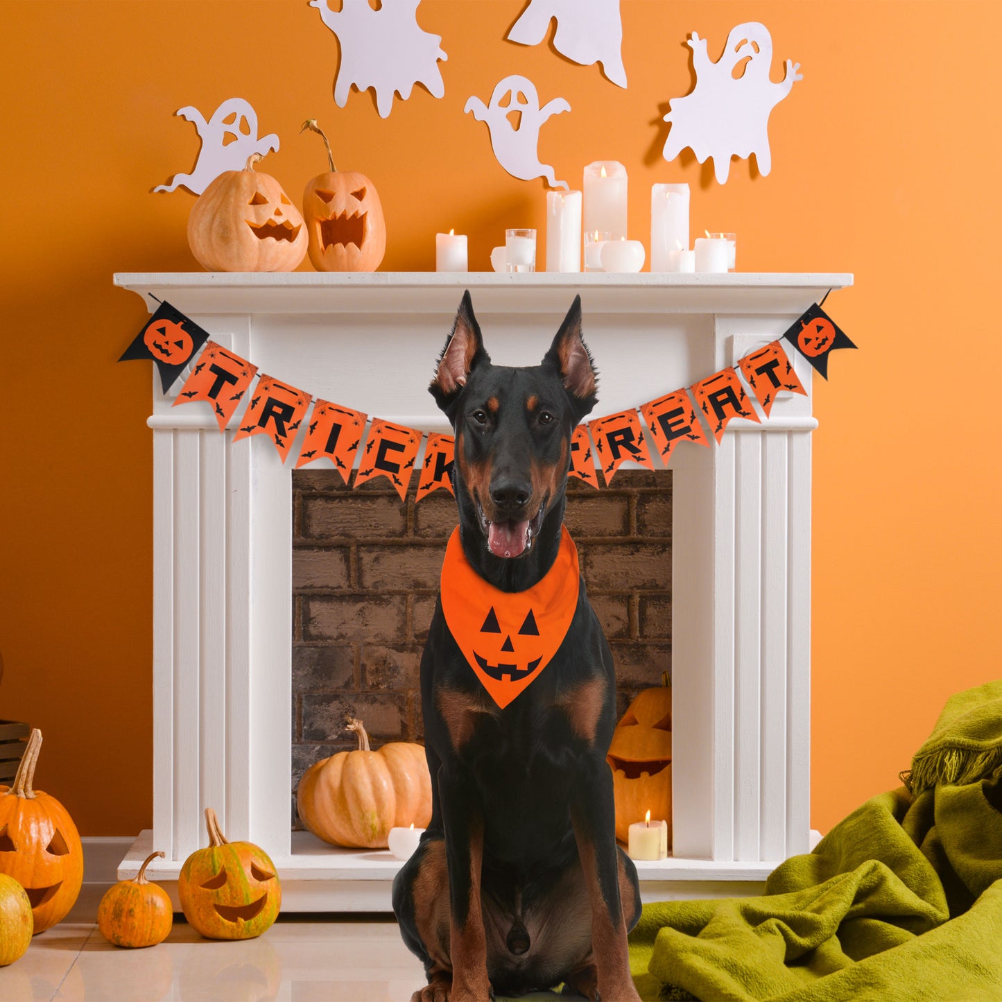 Halloween Dog Bandanas with Trick or Treat Sign