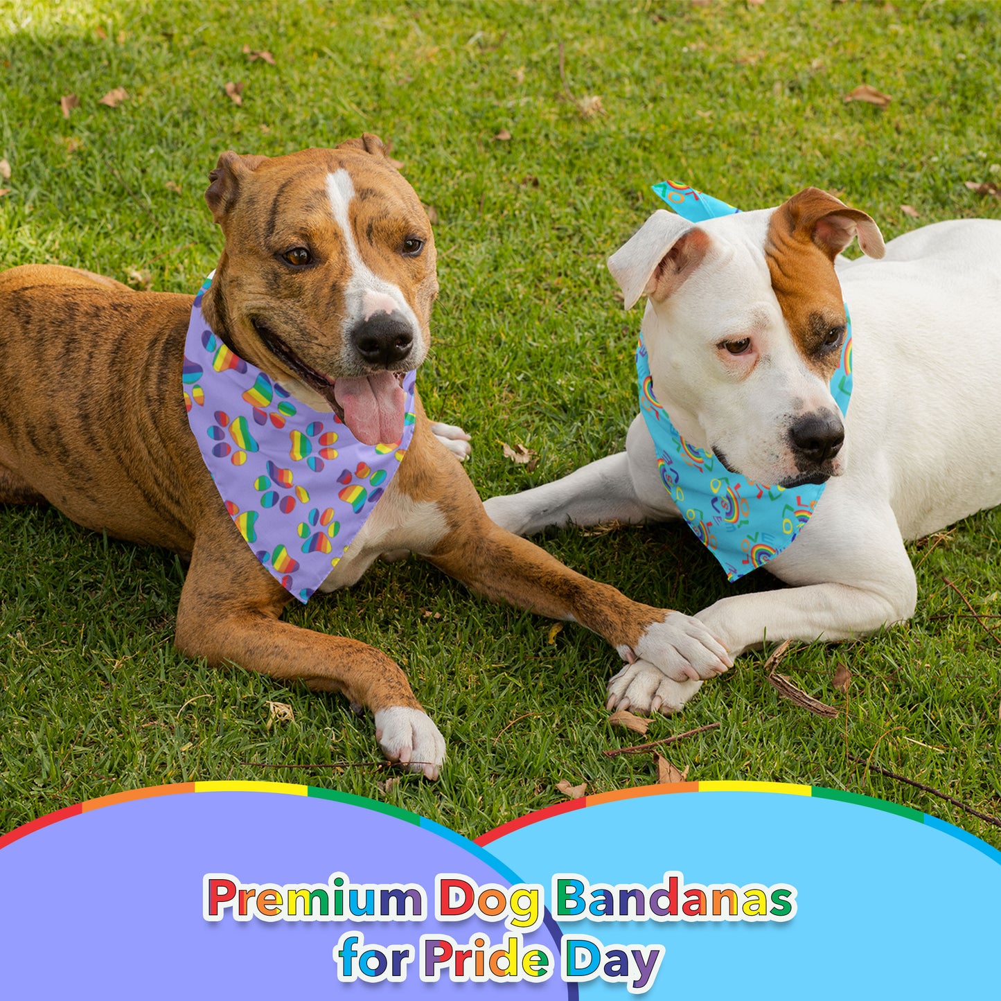 Odi Style Pride Dog Bandana - 2 Pack