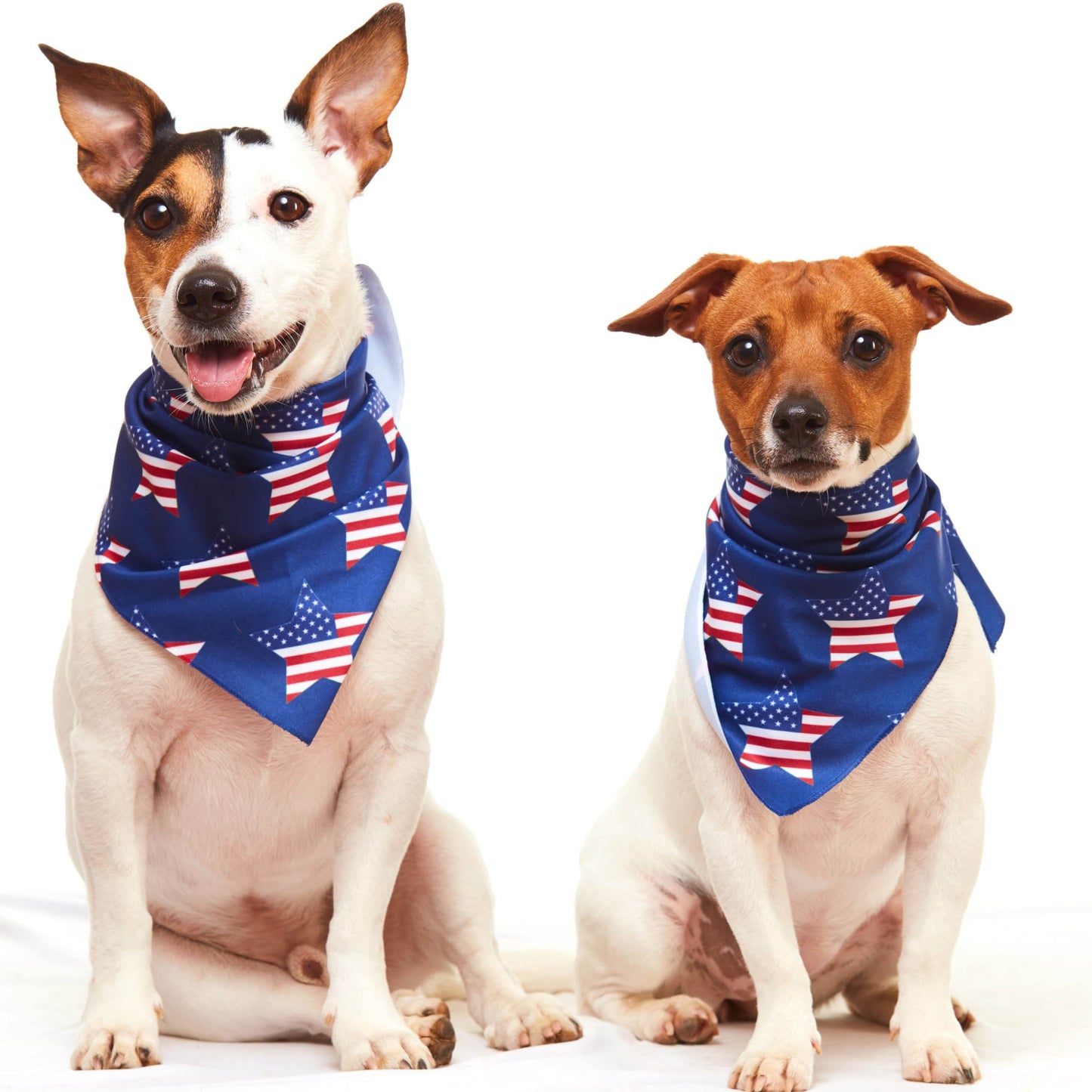 American Flag Dog Bandana - Star Print