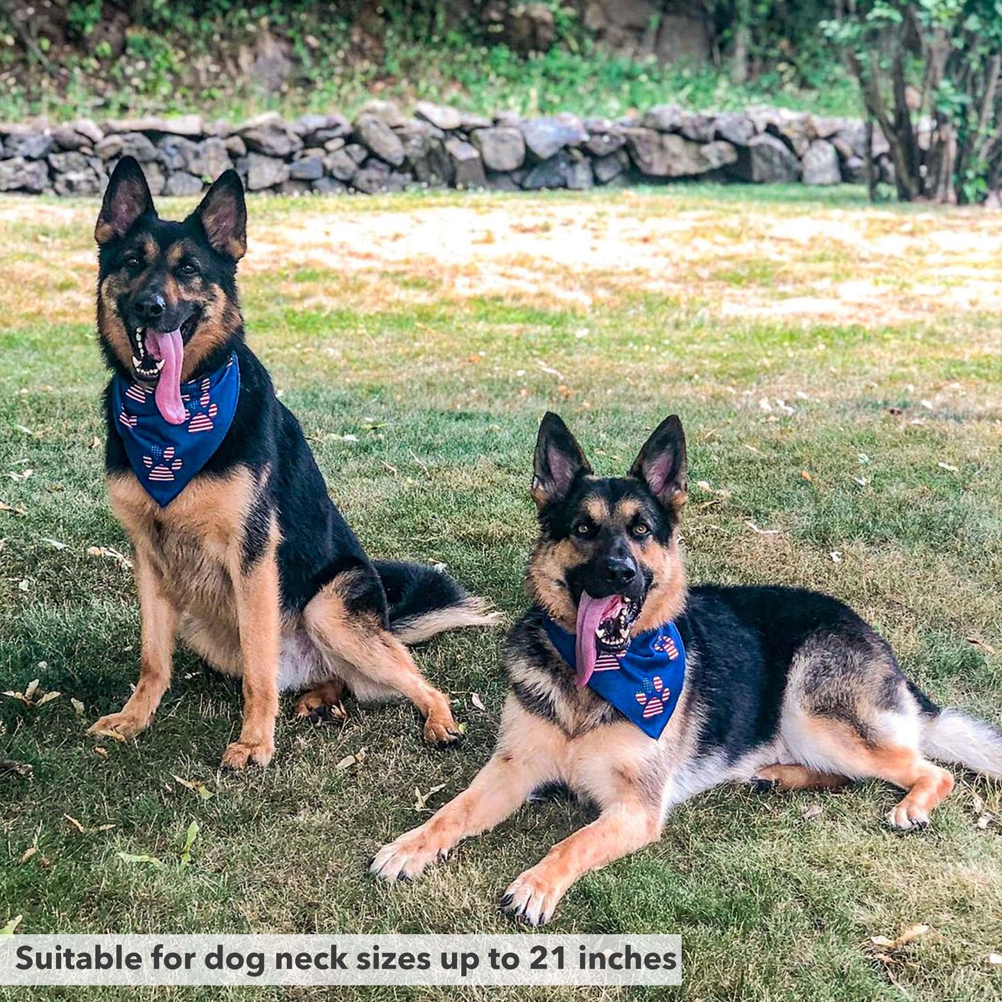 American Flag Dog Bandana - Paw Print