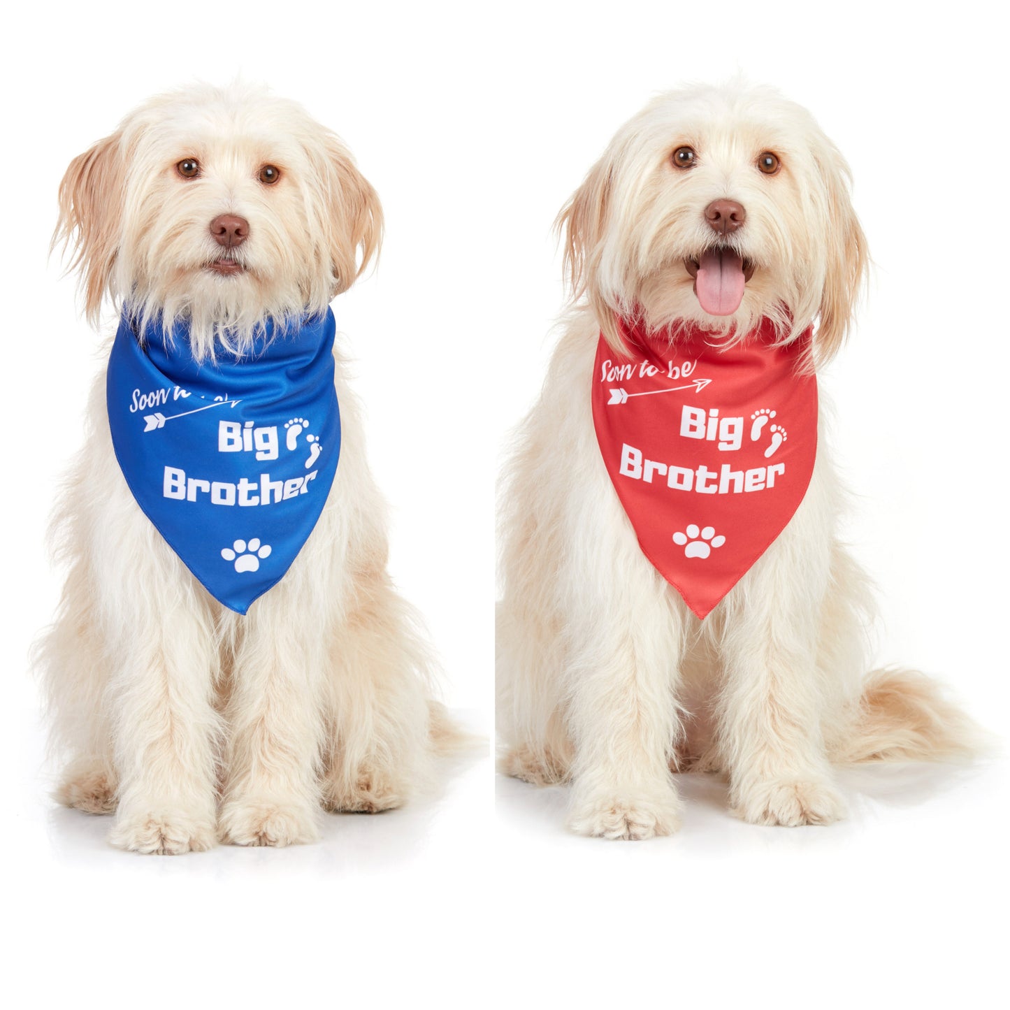 Big Brother Dog Bandana, 2 Pack