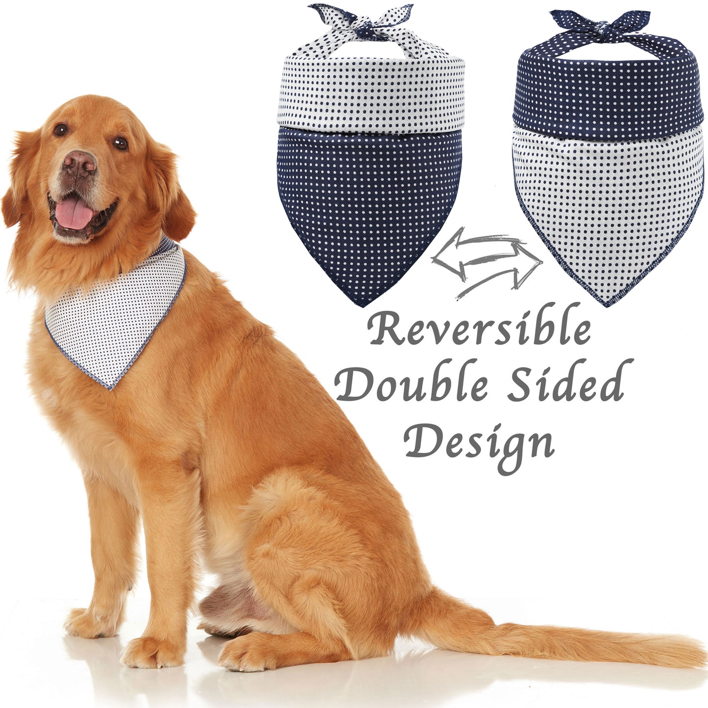 golden retriever dog wearing blue polkadot cotton reversible dog bandana