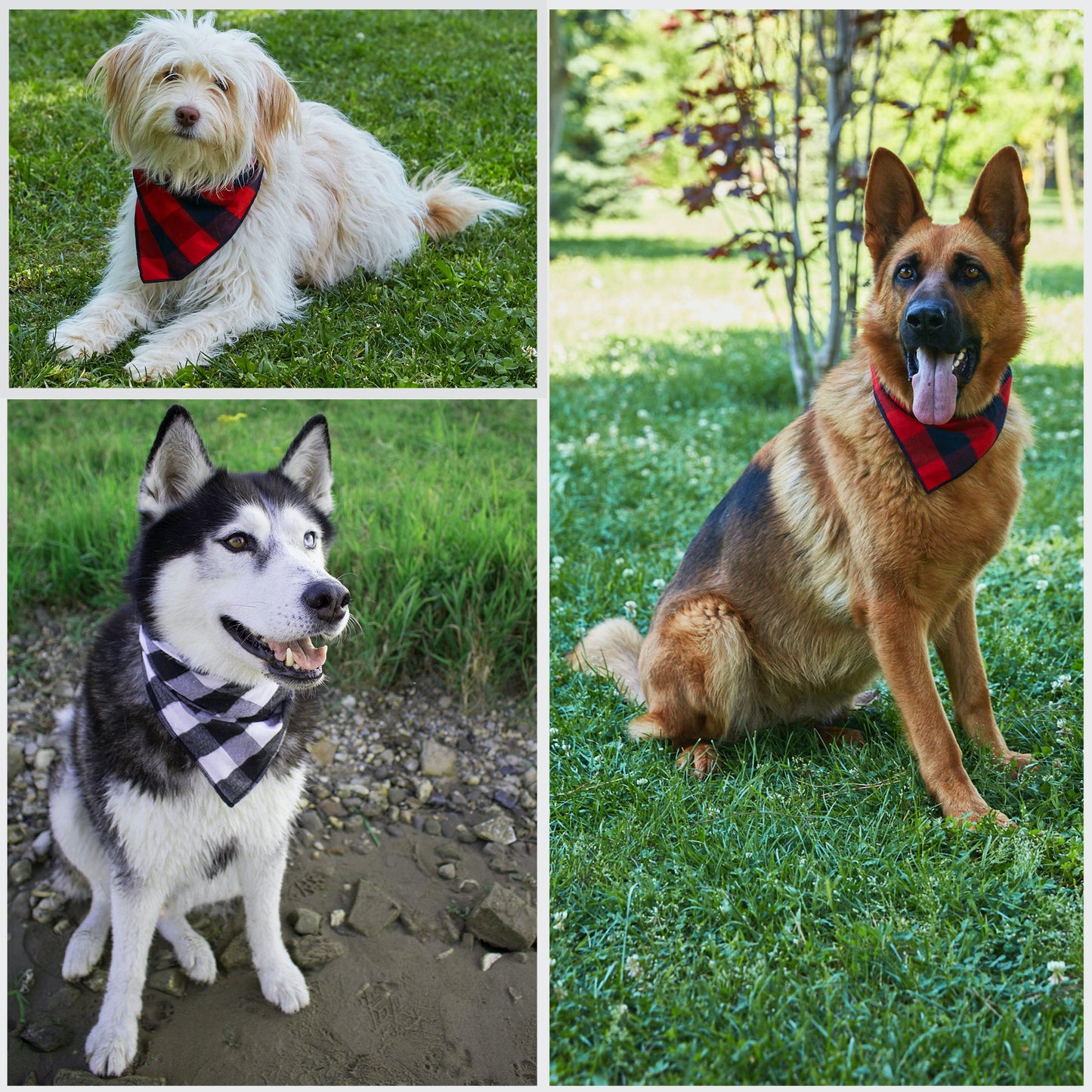 dog bandana, bandana for small sized dog, dog bandana medium sized dogs, large dog bandana, dog bandana large, girl dog bandana, dog bandana boy