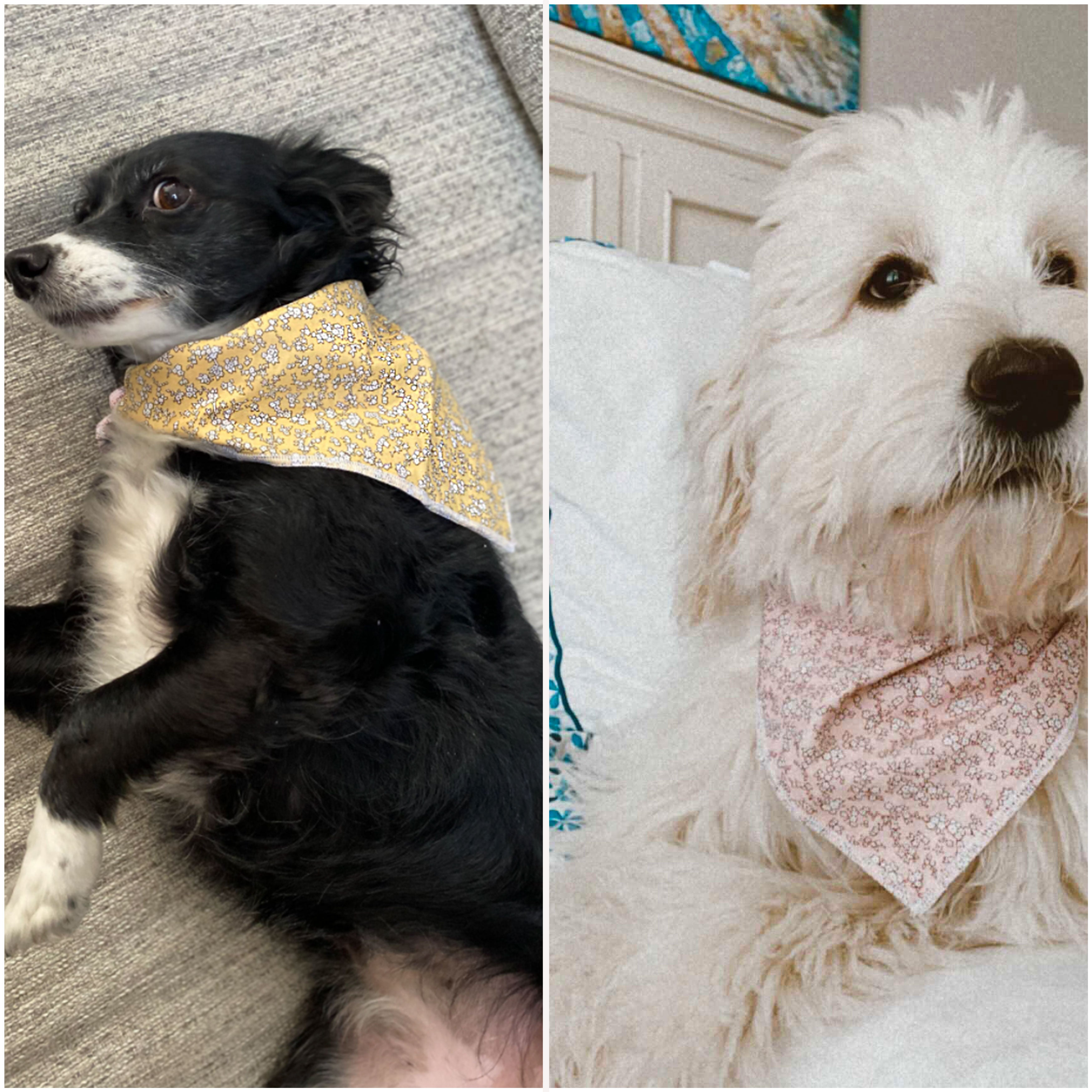 Yellow Floral Dog Bandana