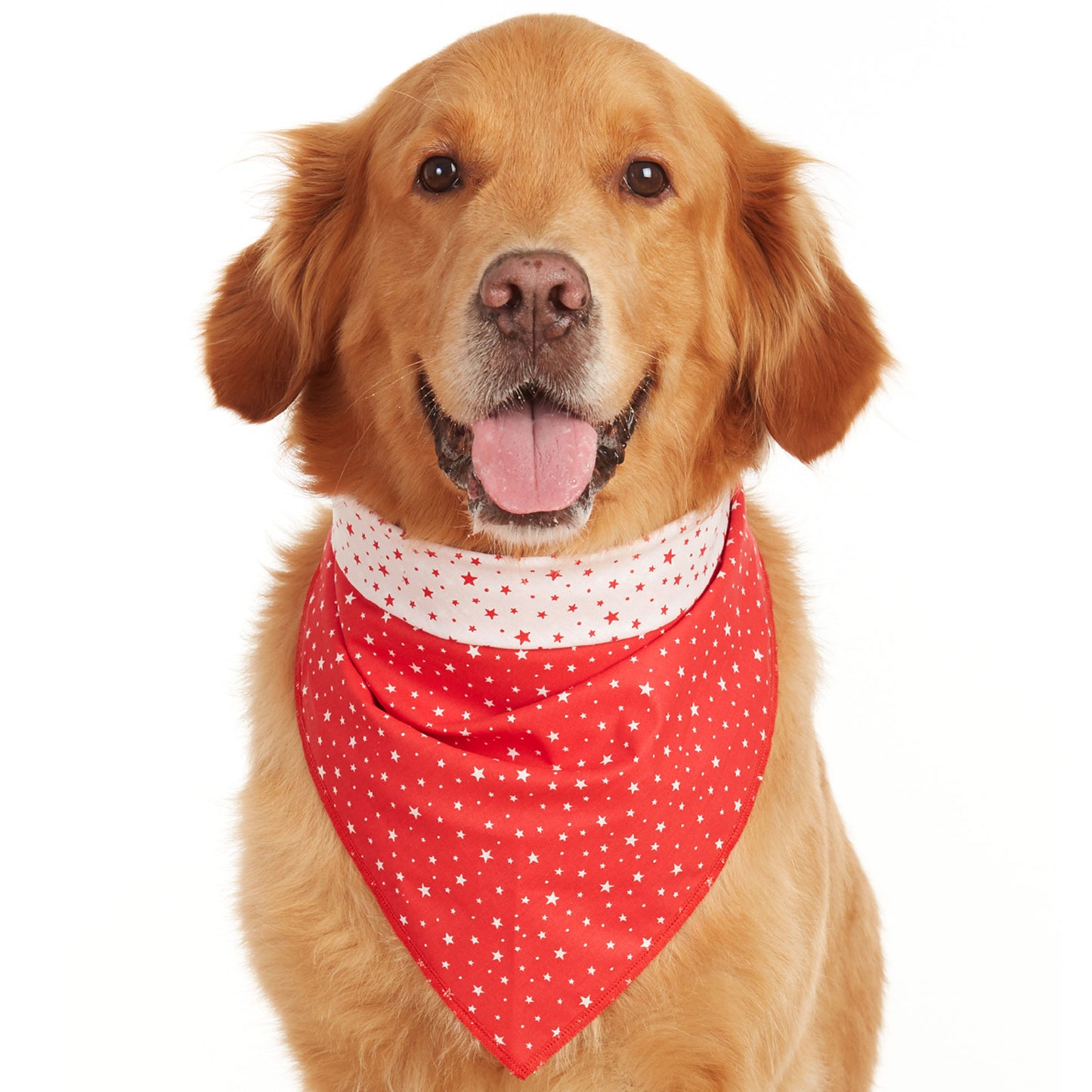 Red Star Dog Bandana