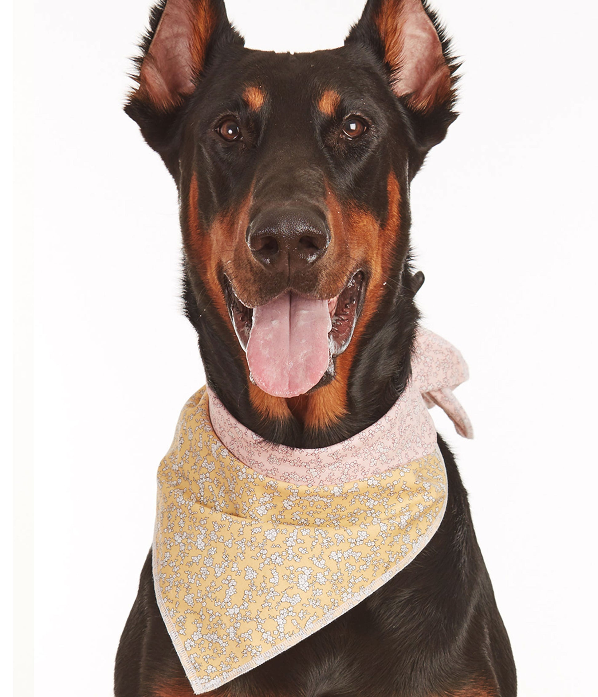 reversible dog bandana, floral dog scarf, puppy bandana