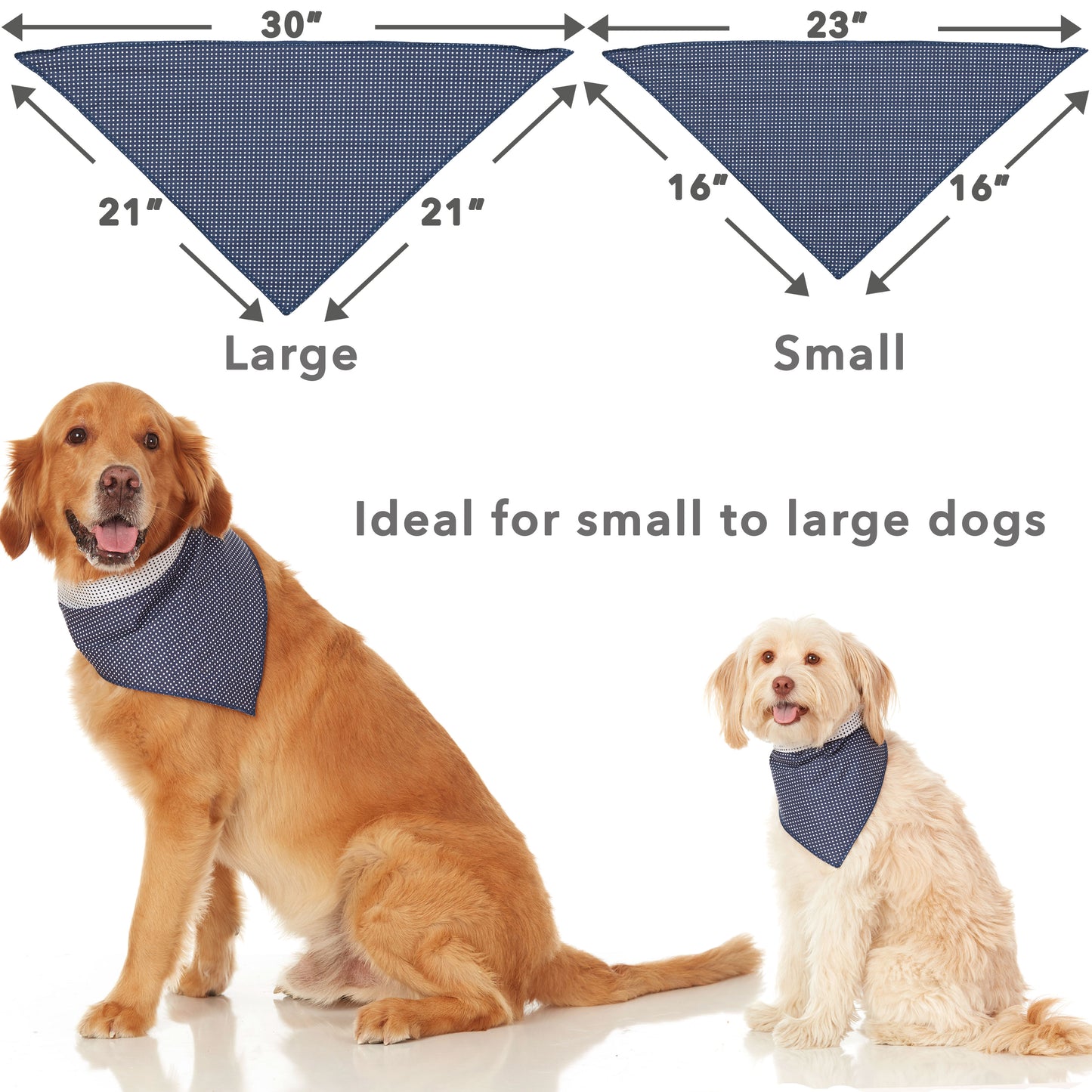 golden retriever and small sized terrier dog wearing blue polkadot bandanas for small medium large dogs