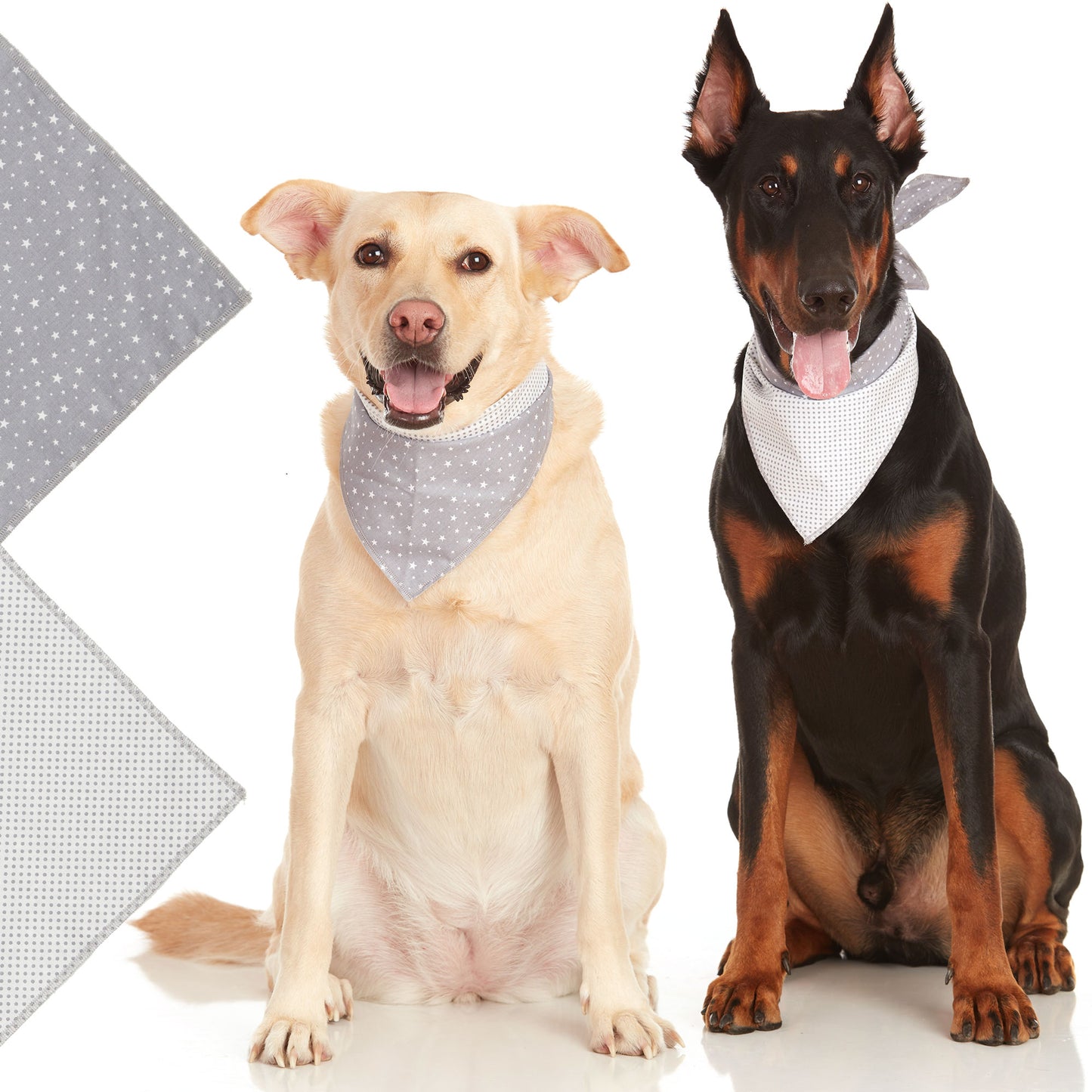 Grey Star & Polkadot Dog Bandana