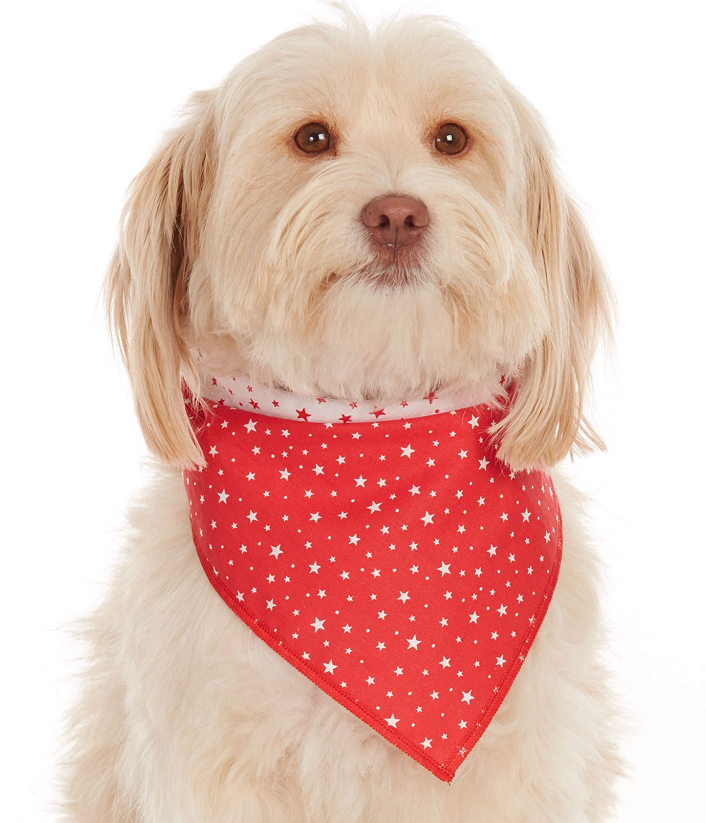 Red Star Dog Bandana