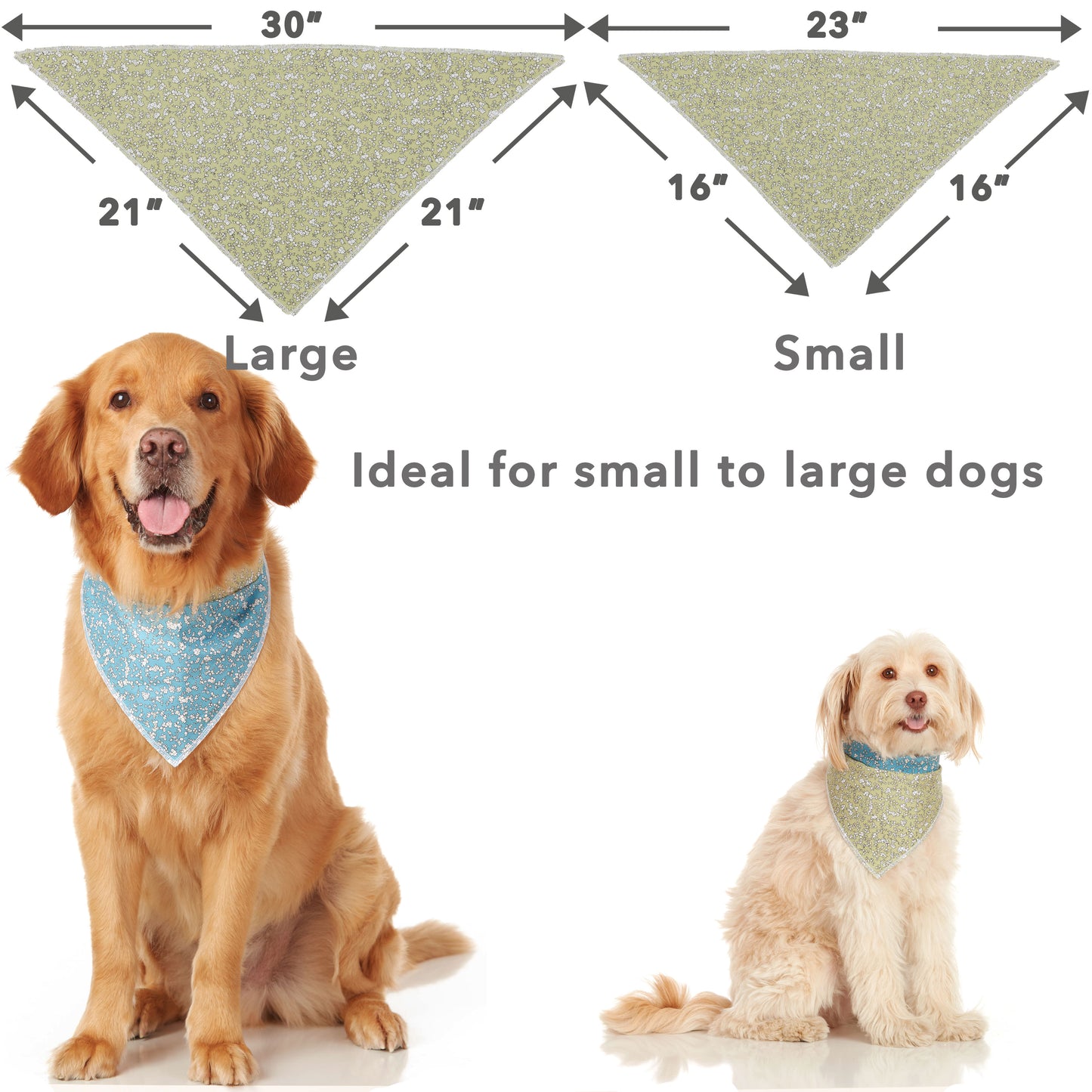 two dogs wearing blue and green reversible dog bandanas. One dog is golden retriever and the other one is terrier dog