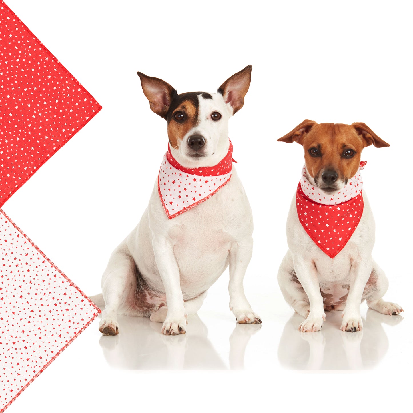 Red Star Dog Bandana