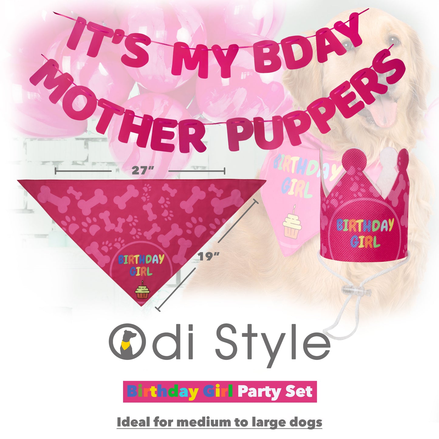 Odi Style Dog Birthday Party Supplies - Girl Dog Birthday Bandana Set