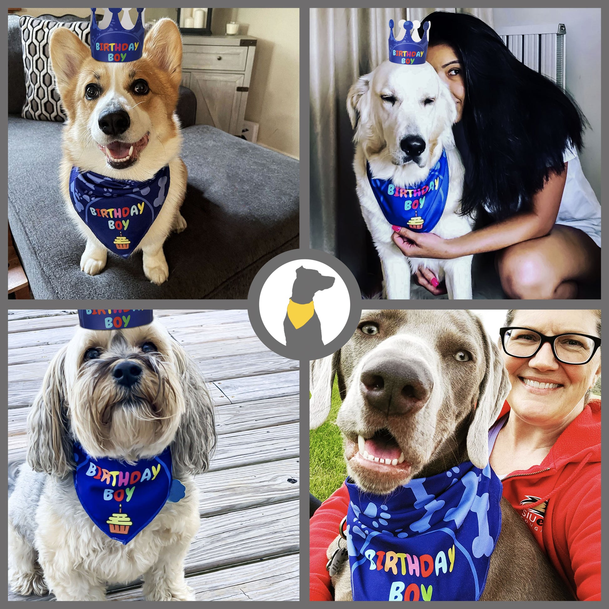 Odi Style Dog Birthday Party Supplies - Boy Dog Birthday Bandana Set