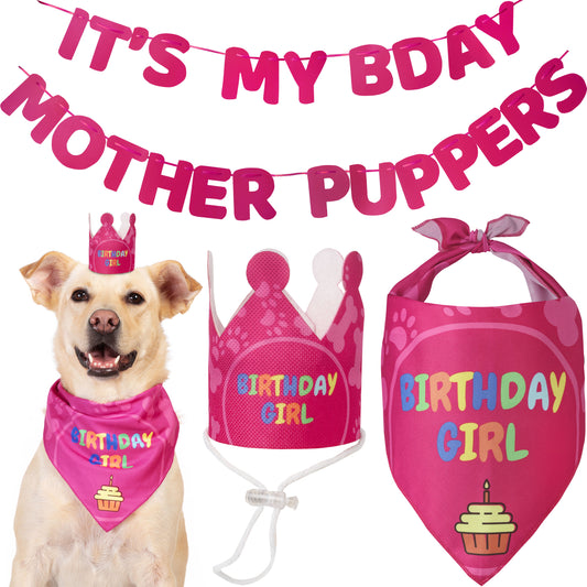 Odi Style Dog Birthday Party Supplies - Girl Dog Birthday Bandana Set