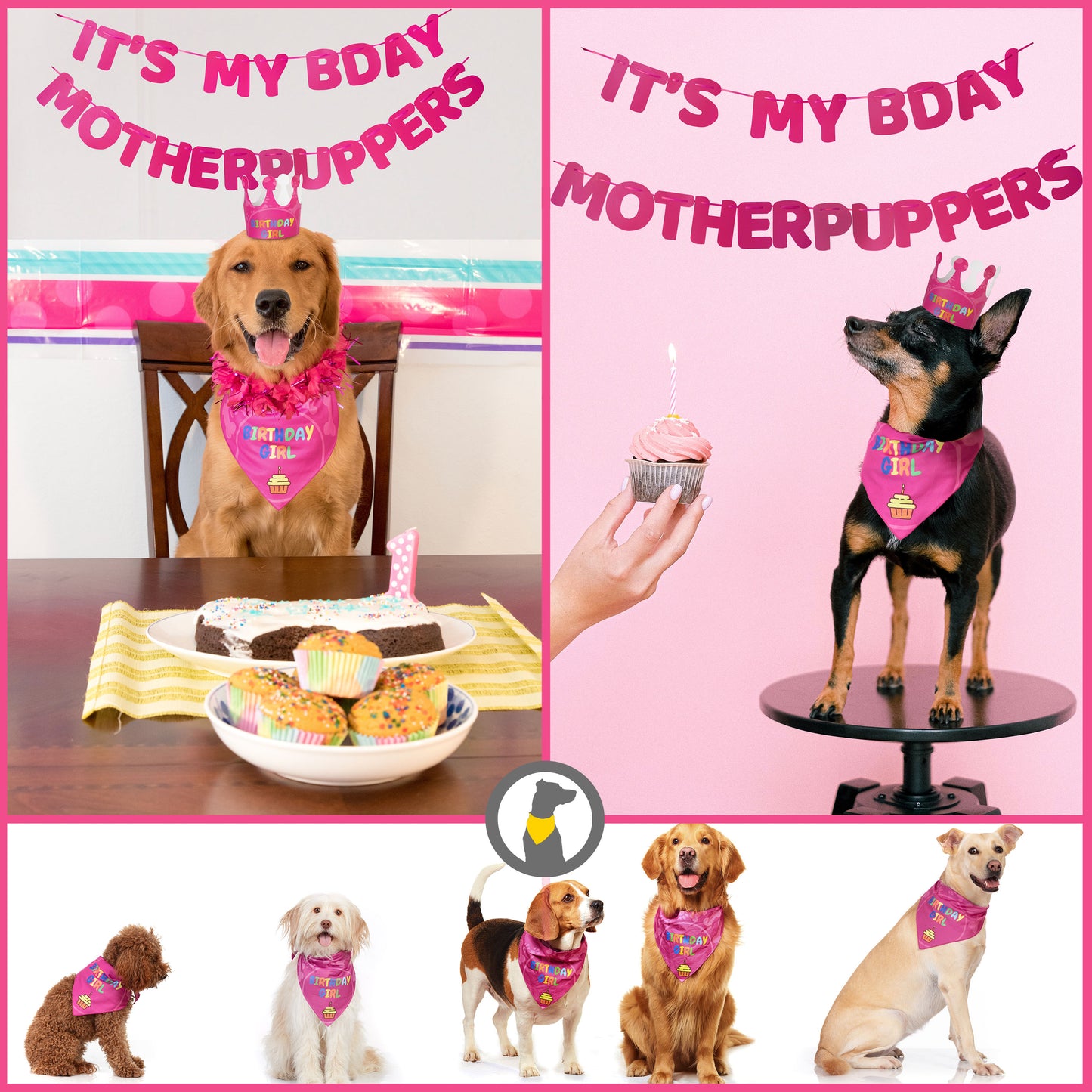 Odi Style Dog Birthday Party Supplies - Girl Dog Birthday Bandana Set