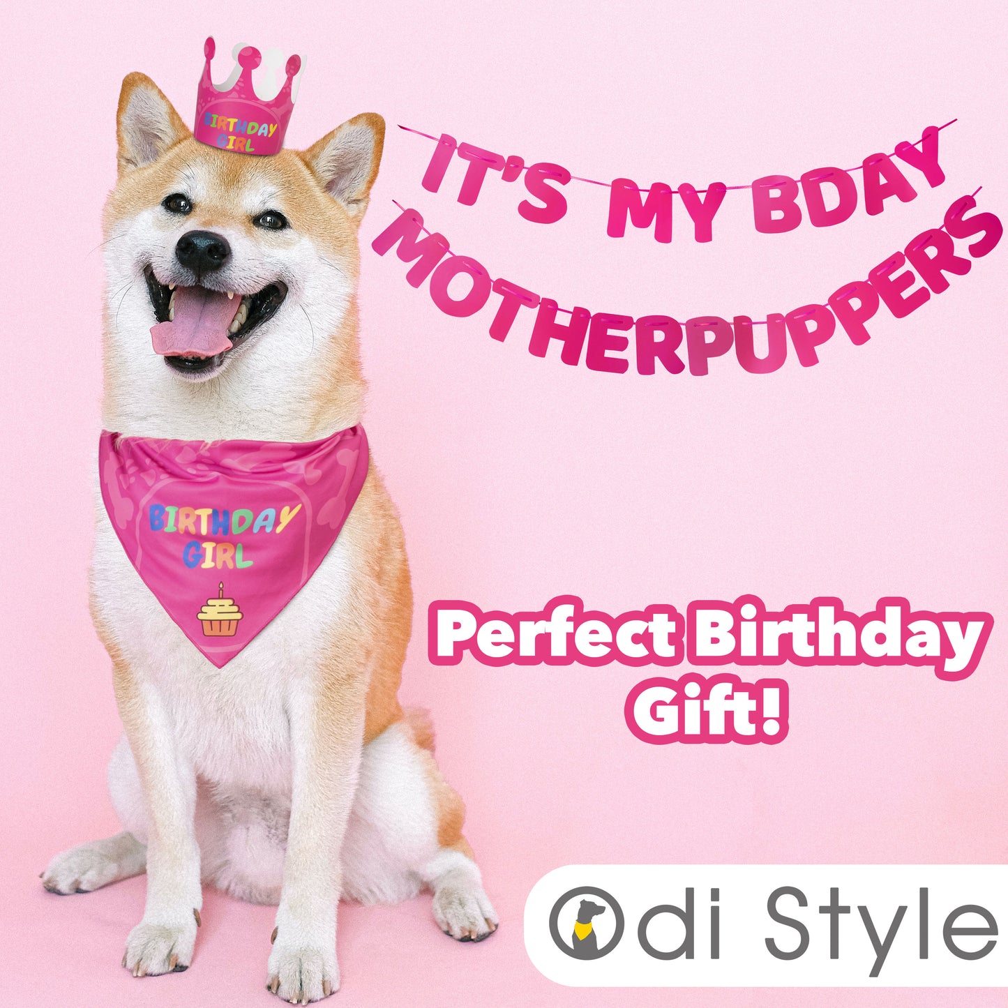 Odi Style Dog Birthday Party Supplies - Girl Dog Birthday Bandana Set