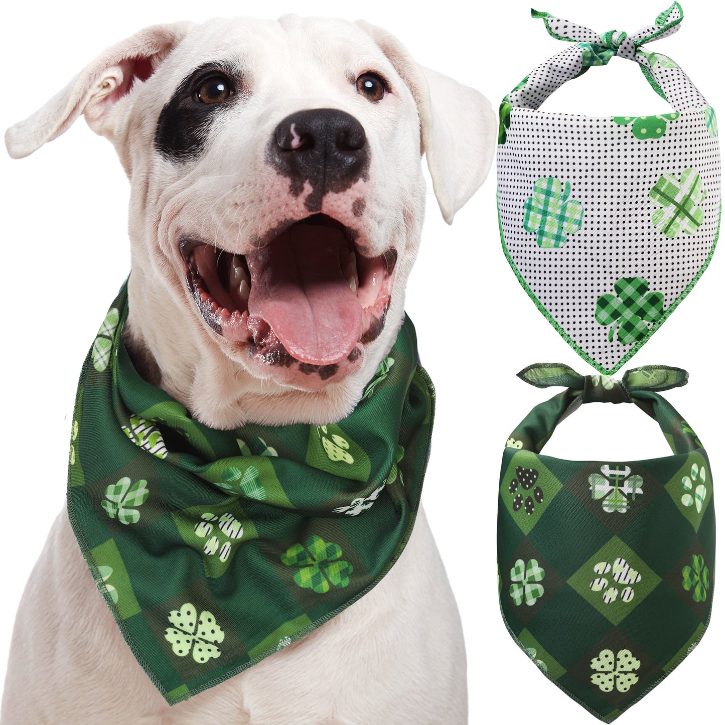 St. Patrick's Day Bandana - 2 Pack