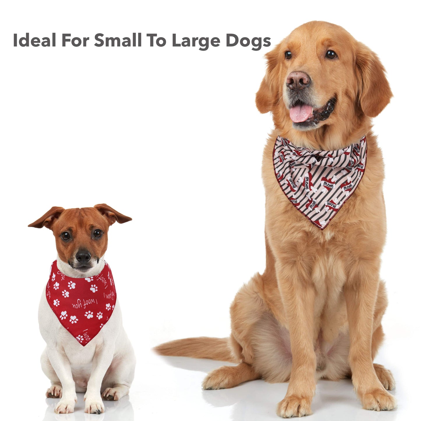 https://www.odistyle.com/cdn/shop/products/puppy-bandana-jack-russel-dog-fashion-min.jpg?v=1623672411&width=1445