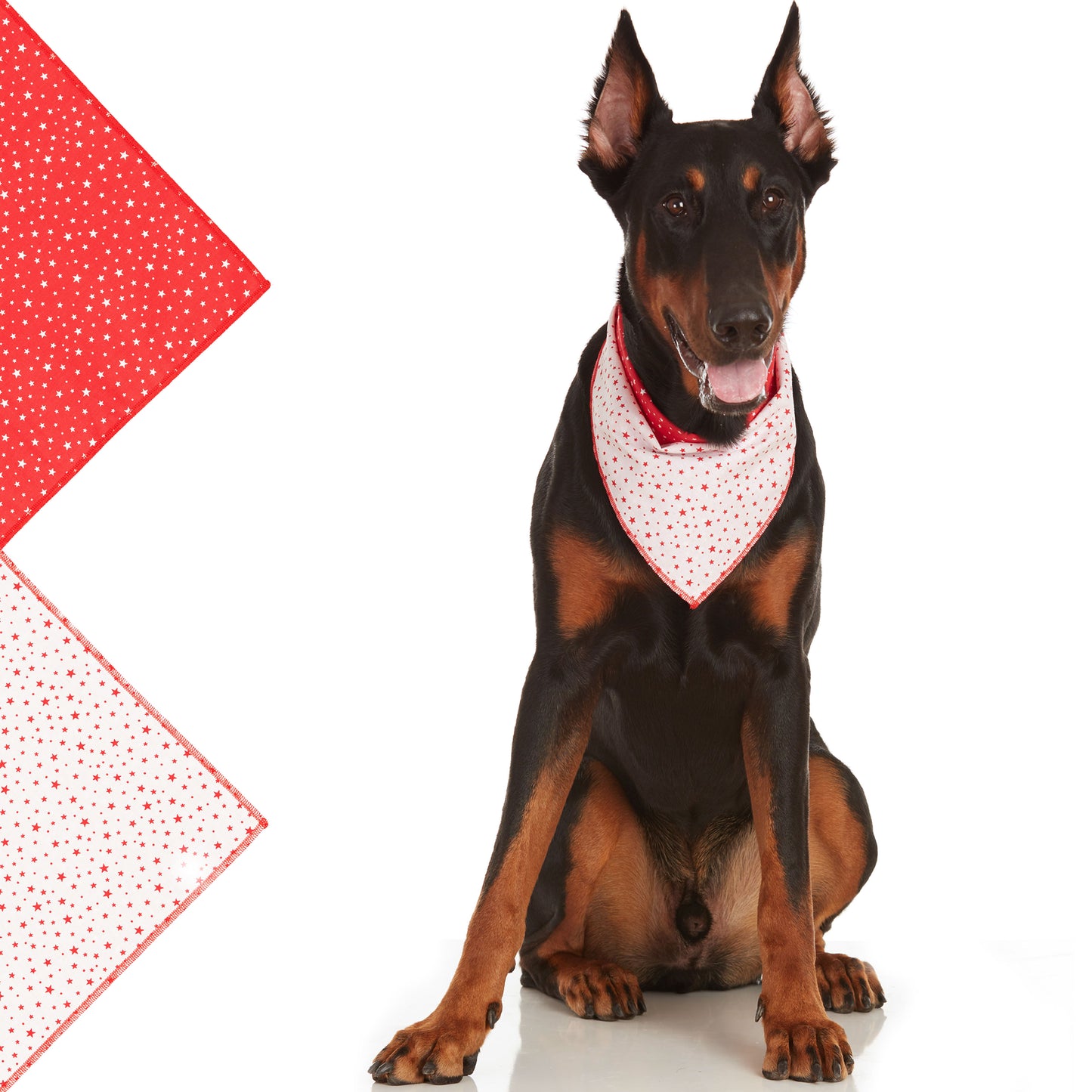 Red Star Dog Bandana