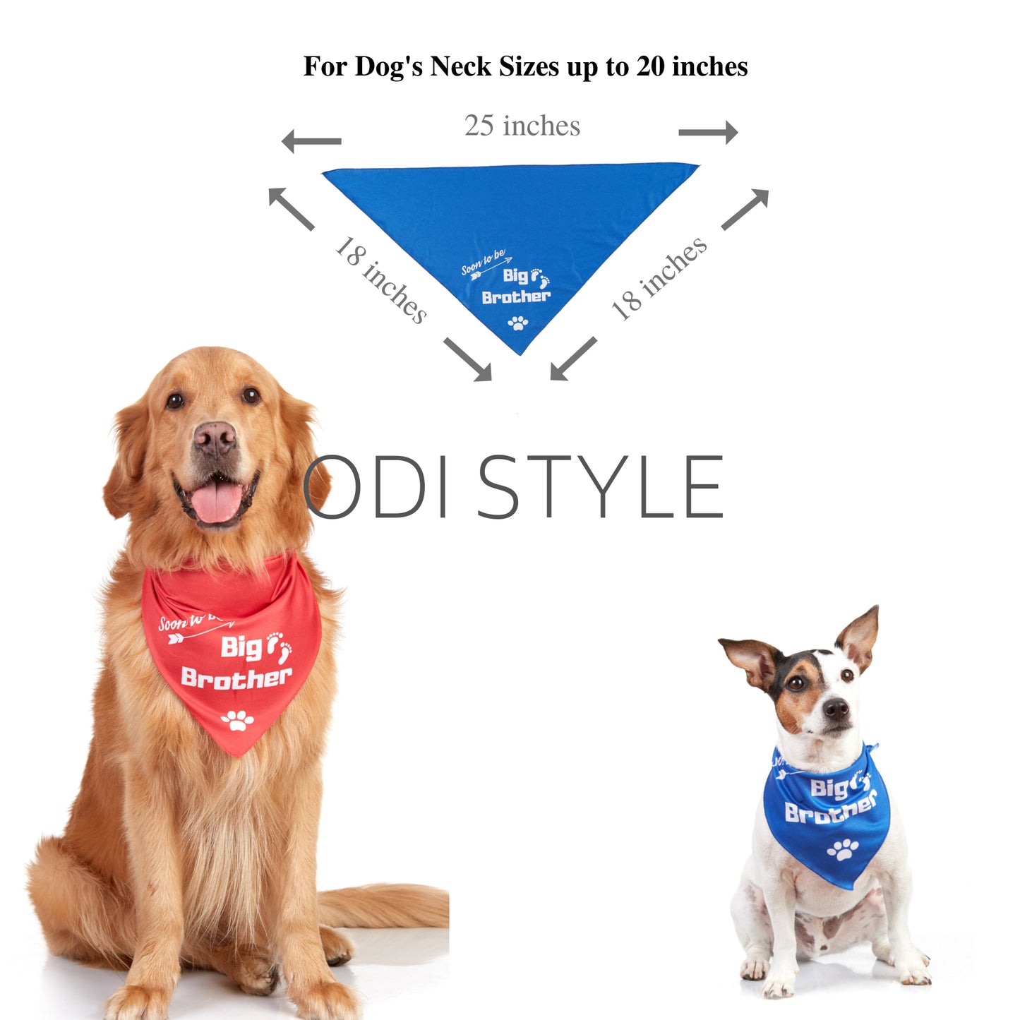 Big Brother Dog Bandana, 2 Pack