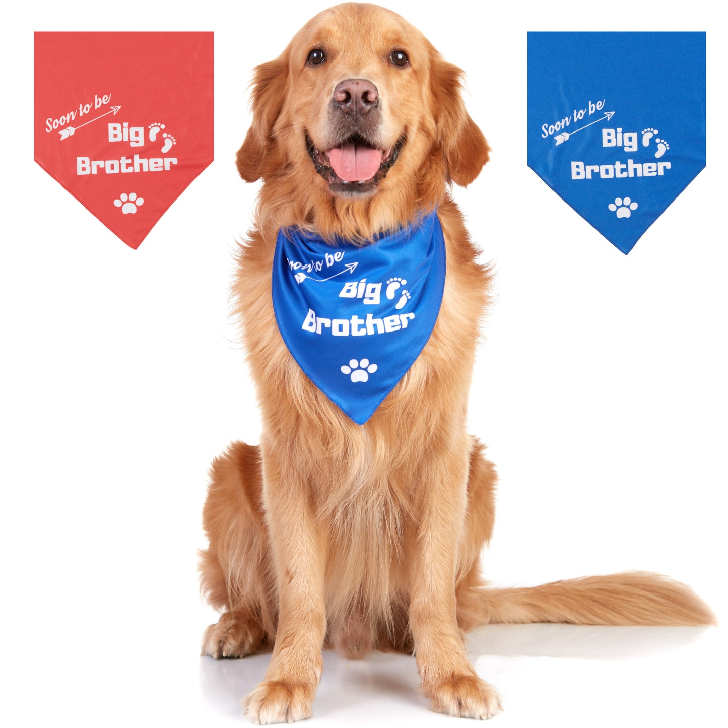 Big Brother Dog Bandana, 2 Pack